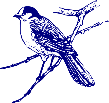 Blue Silhouette Birdon Branch PNG Image