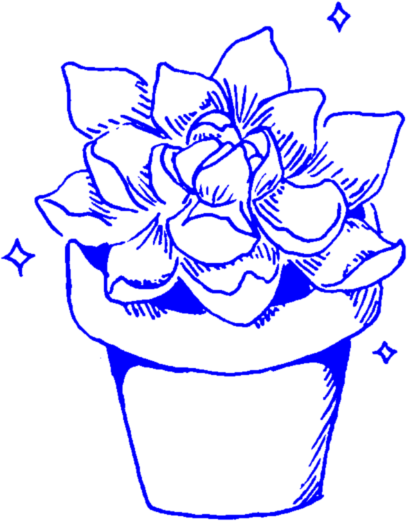 Blue Sketch Succulent Pot PNG Image