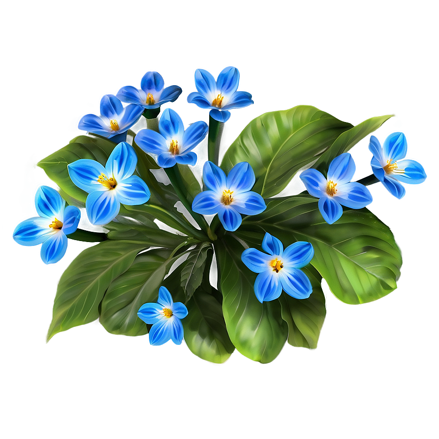 Blue Spring Flower Png 05242024 PNG Image