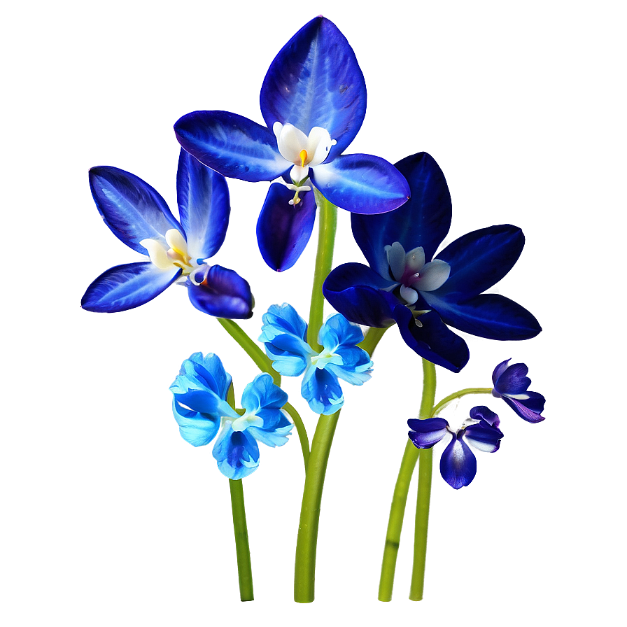 Blue Spring Flower Png Bqm PNG Image