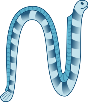 Blue Striped Sea Worm Illustration PNG Image