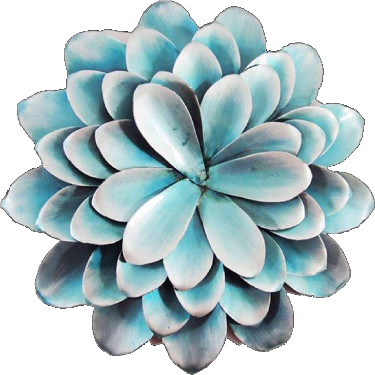 Blue Succulent Plant PNG Image