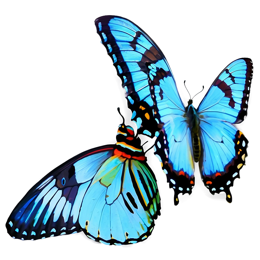 Blue Swallowtail Butterflies Png Qym PNG Image