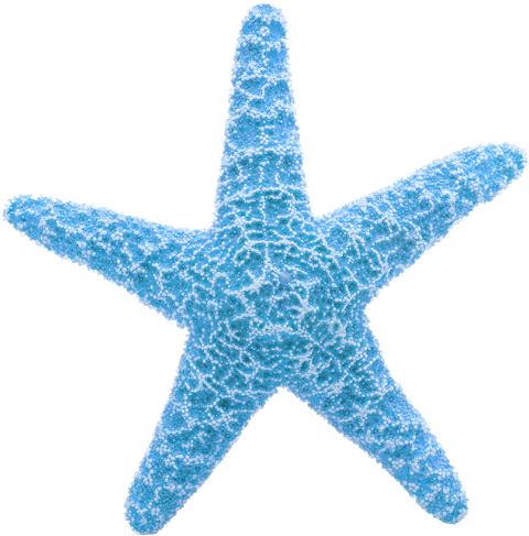 Blue Textured Starfish Clipart PNG Image