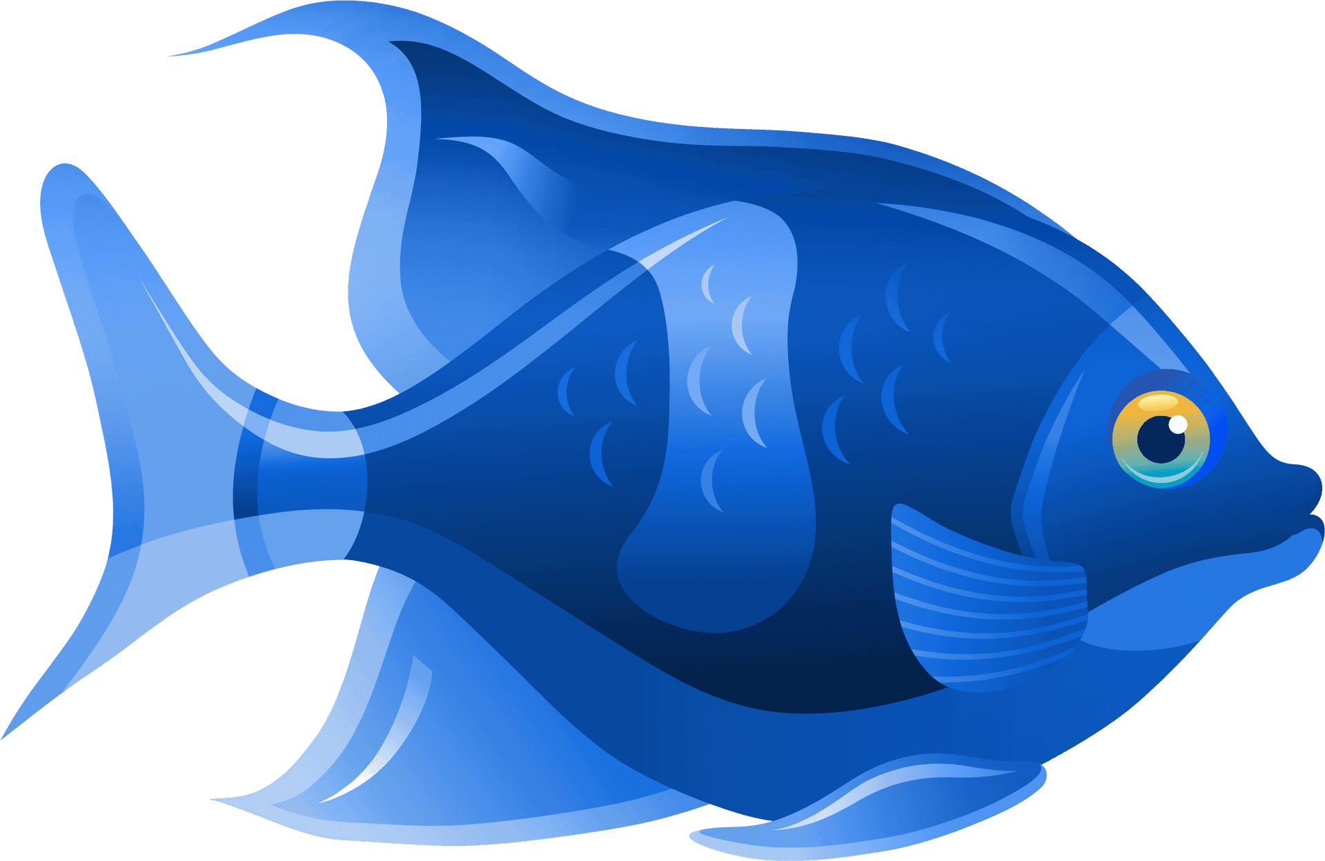 Blue Tropical Fish Illustration PNG Image