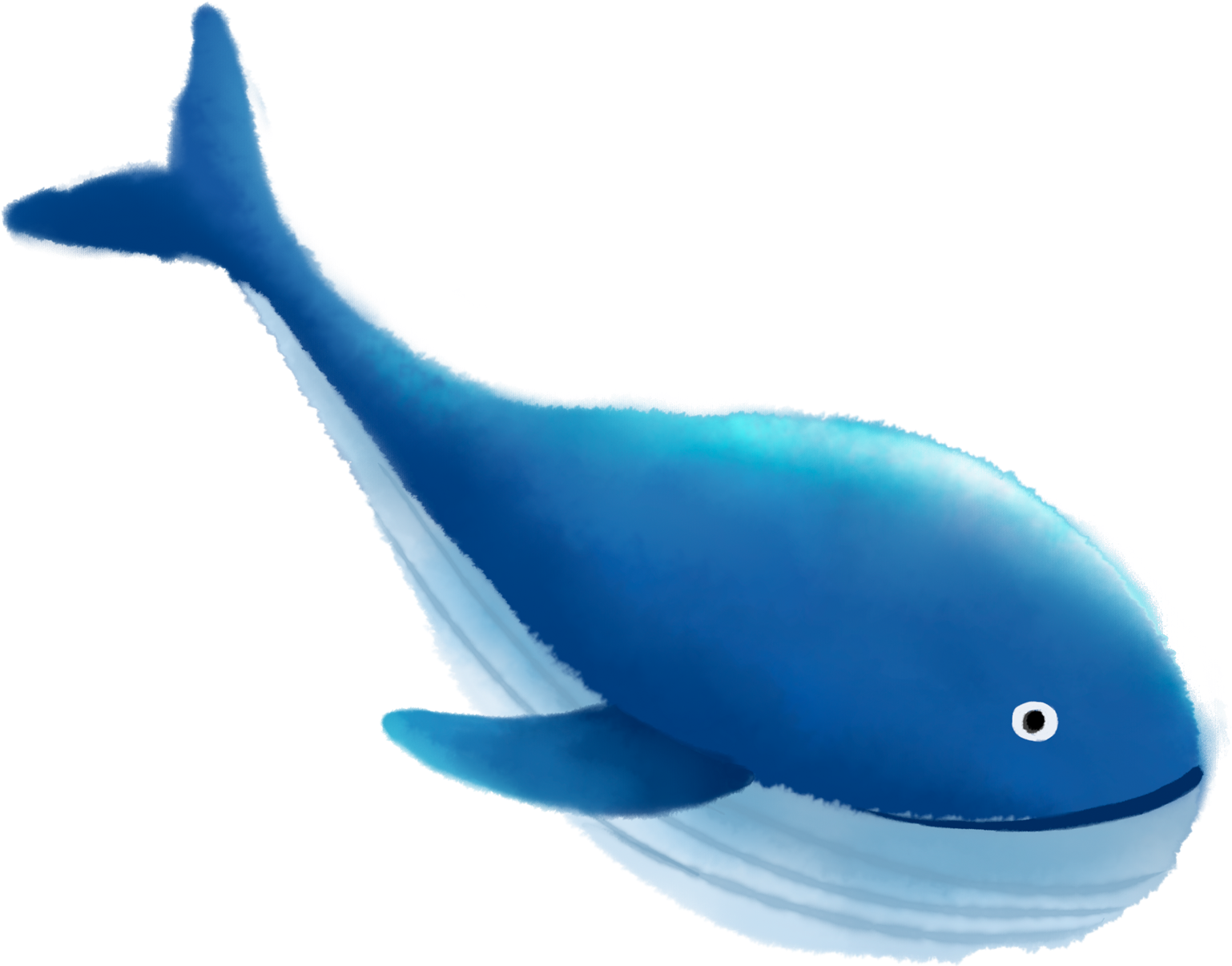 Blue Whale Cartoon Illustration PNG Image