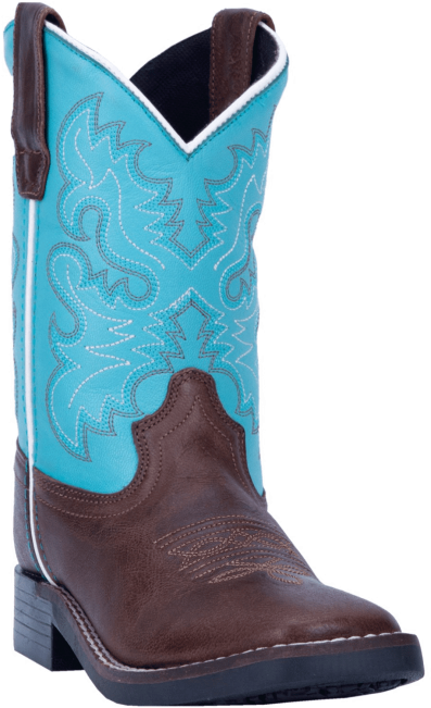 Blueand Brown Western Cowboy Boot PNG Image