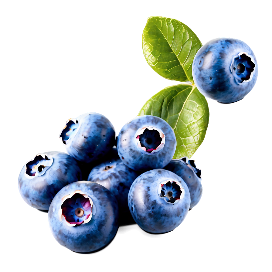 Blueberries Art Png 59 PNG Image