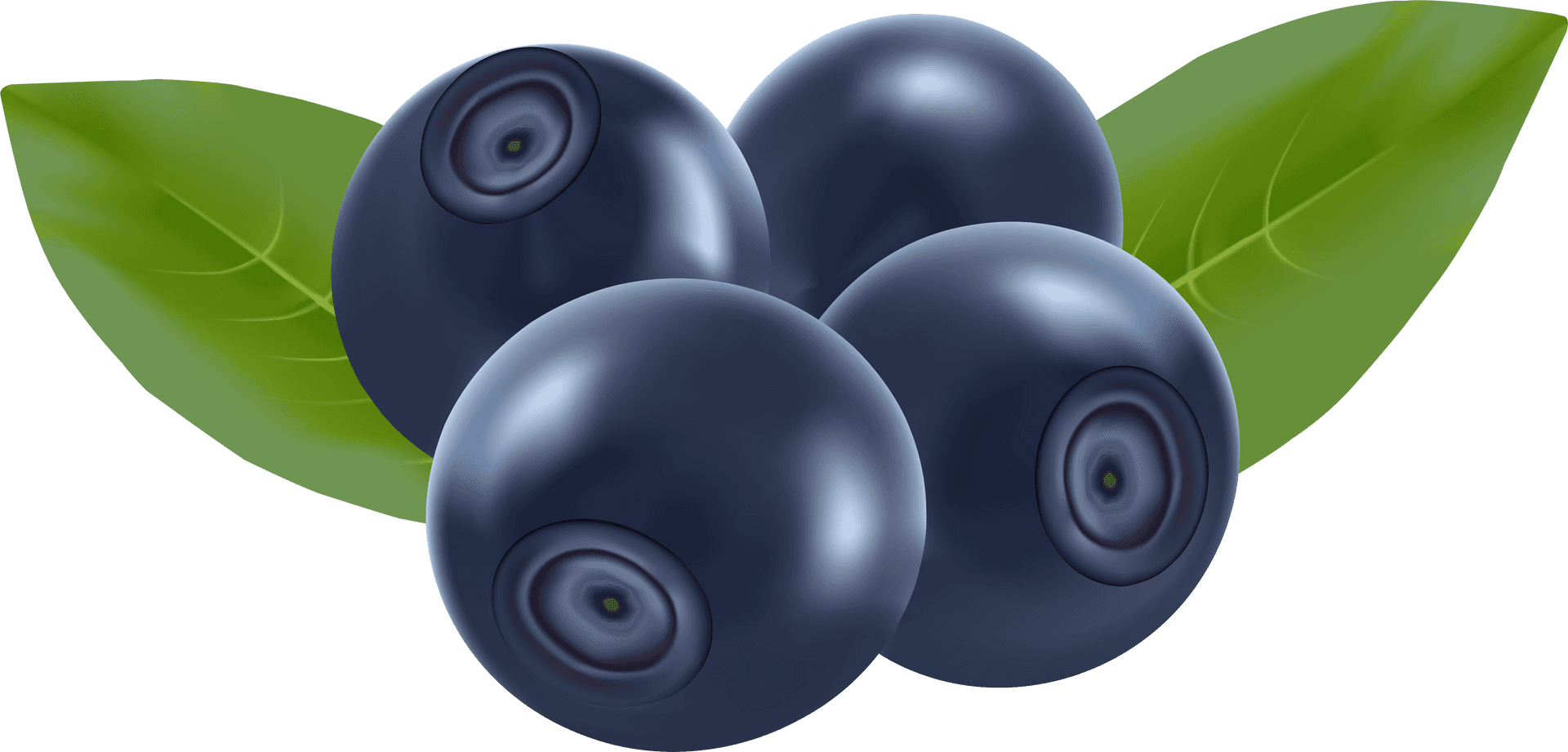 Blueberries Clipart Illustration PNG Image