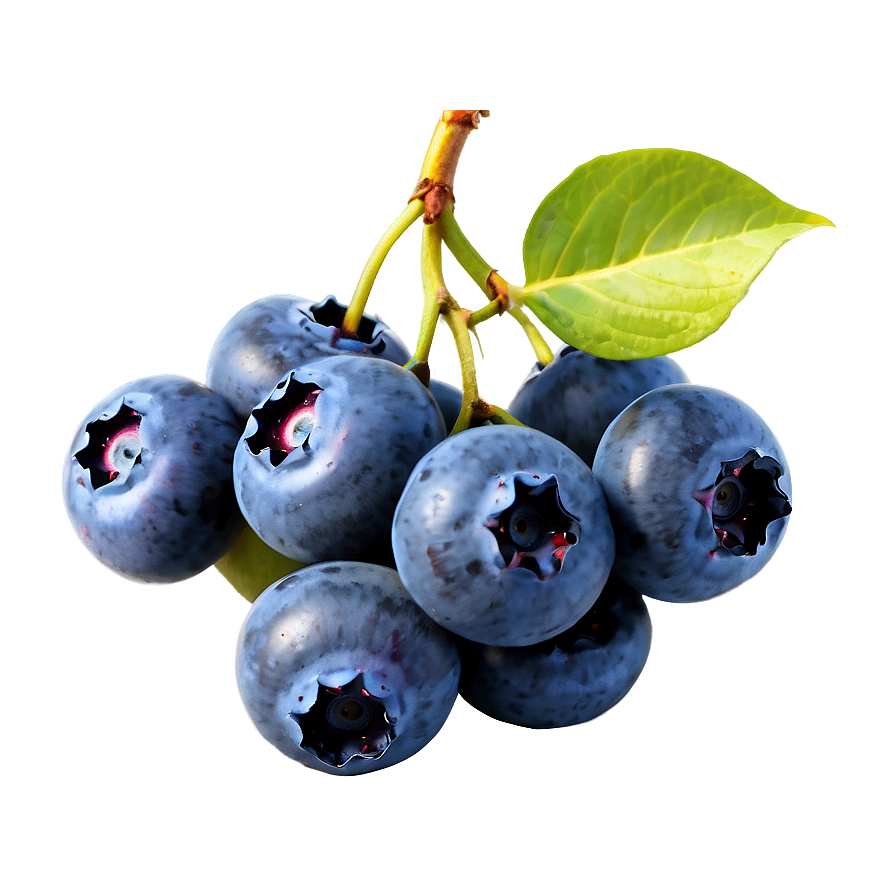 Blueberry Bunch Png 05242024 PNG Image