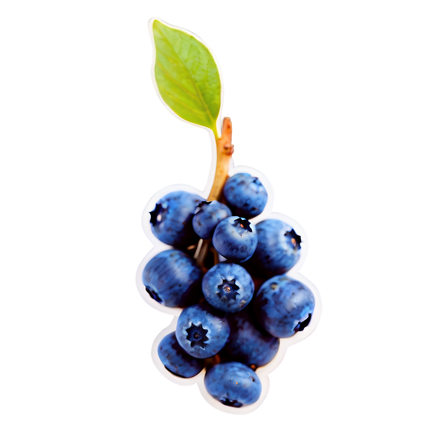 Blueberry Drop Png 76 PNG Image