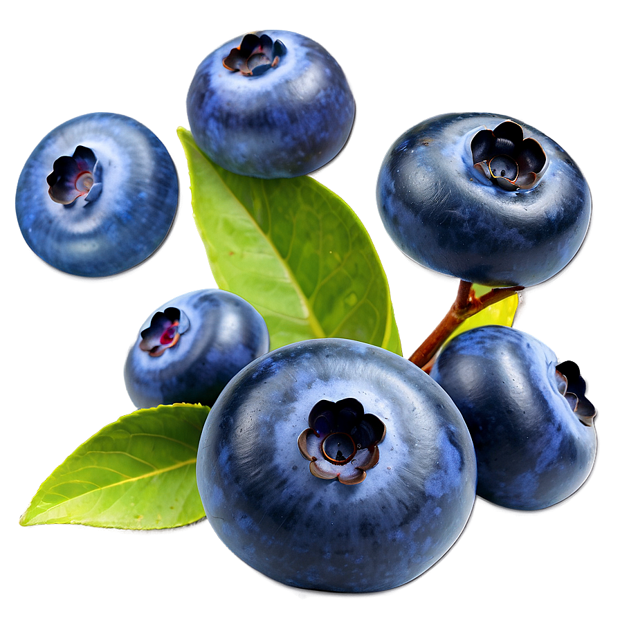 Blueberry Drop Png Pwy PNG Image