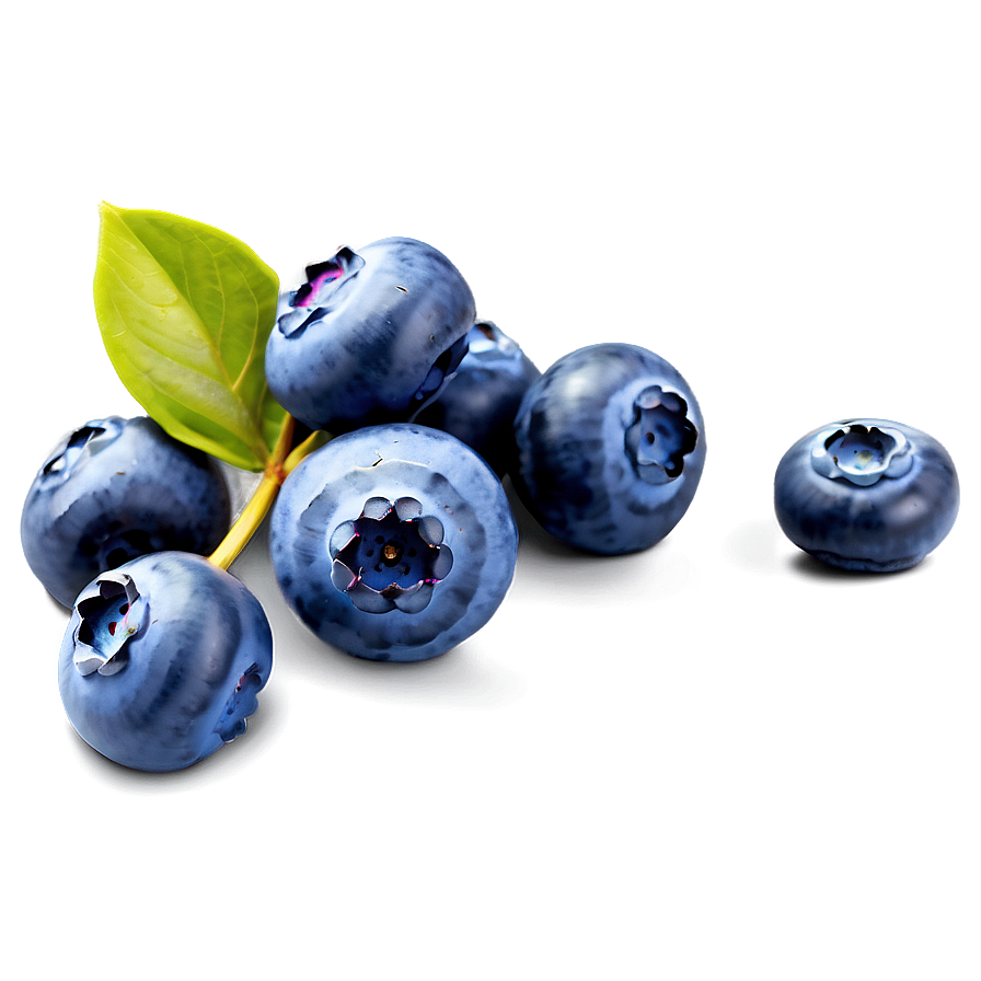 Blueberry Festival Pick Png 05212024 PNG Image