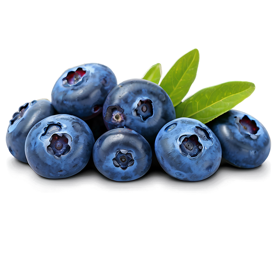 Blueberry Festival Pick Png 71 PNG Image