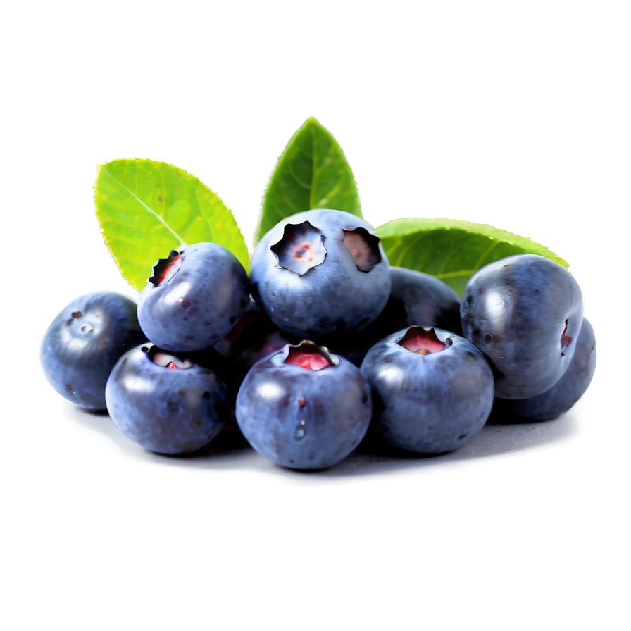 Blueberry Field Png 15 PNG Image