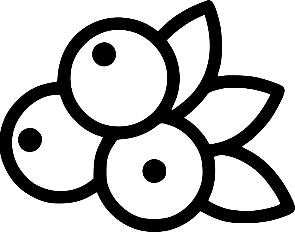 Blueberry Flower Line Art PNG Image