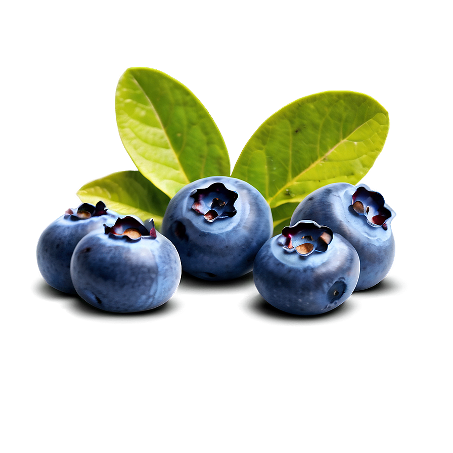 Blueberry Fruit Png Suo86 PNG Image