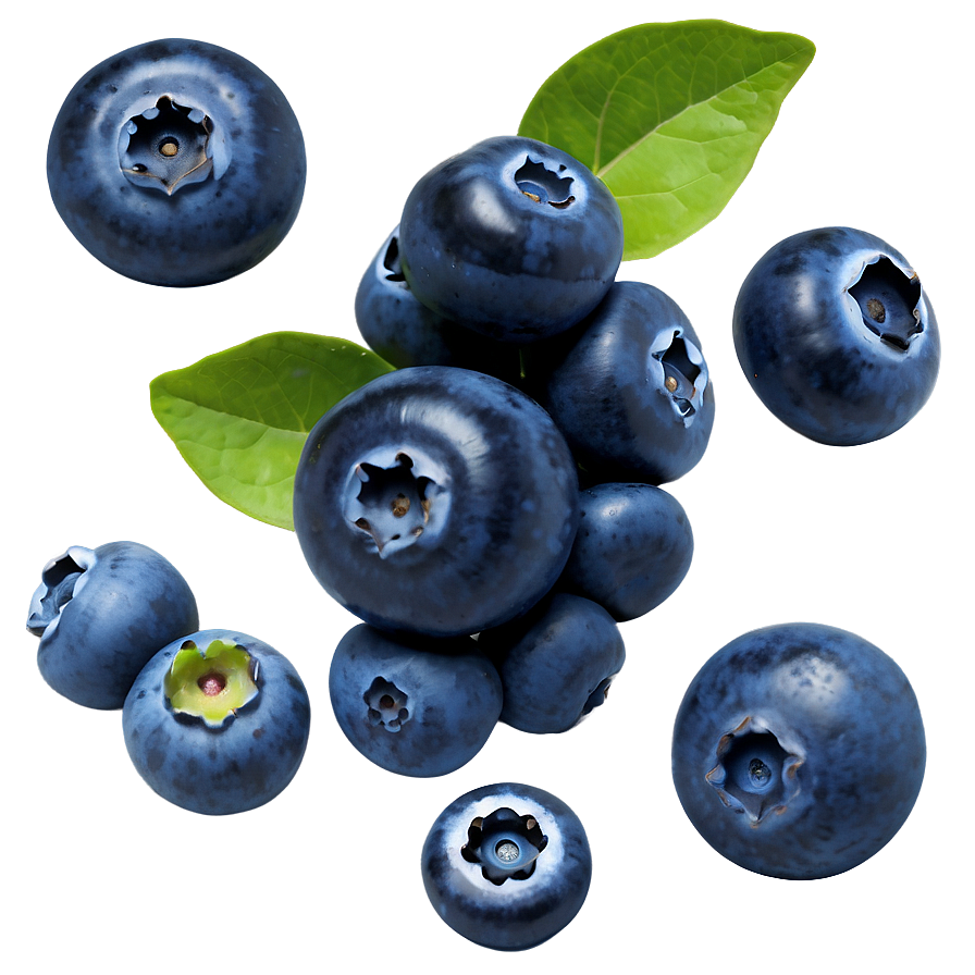 Blueberry Isolated Png 2 PNG Image