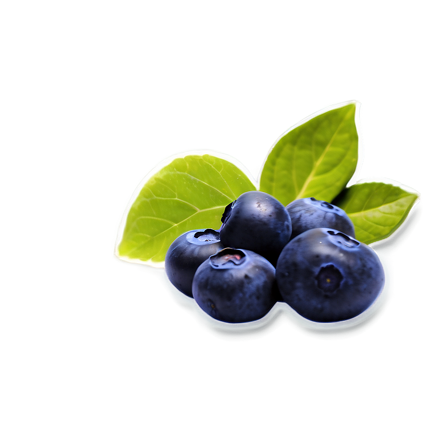 Blueberry Jam Prep Png 05212024 PNG Image