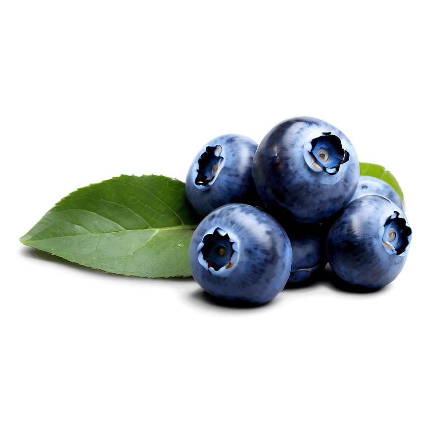 Blueberry Photography Png Ndp10 PNG Image