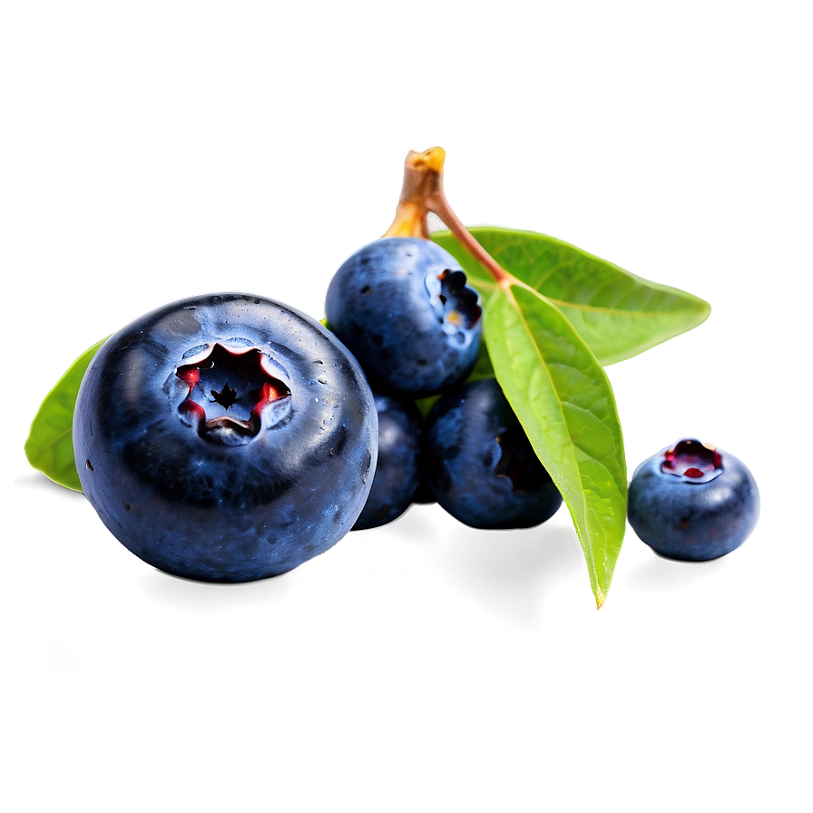 Blueberry Top View Png 05242024 PNG Image