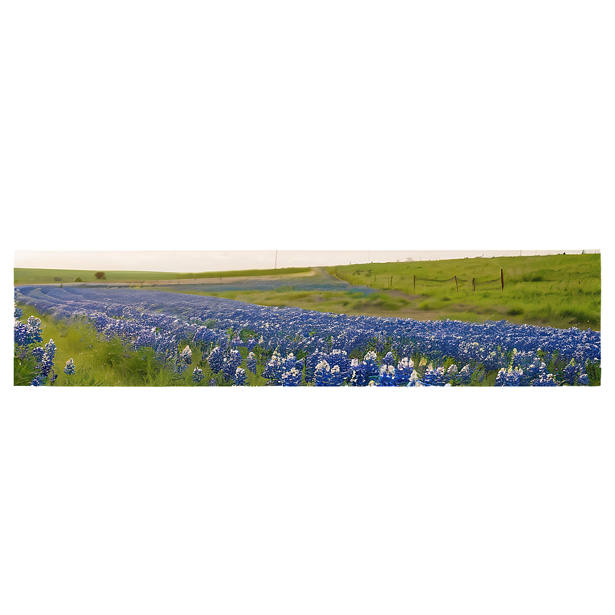 Bluebonnet Country Road Png Ktb PNG Image