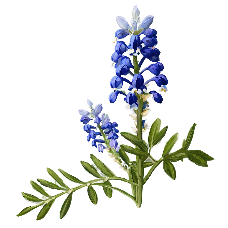 Bluebonnet Floral Pattern Png Jhs PNG Image