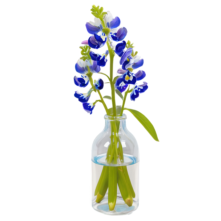 Bluebonnet In A Vase Png Klw PNG Image