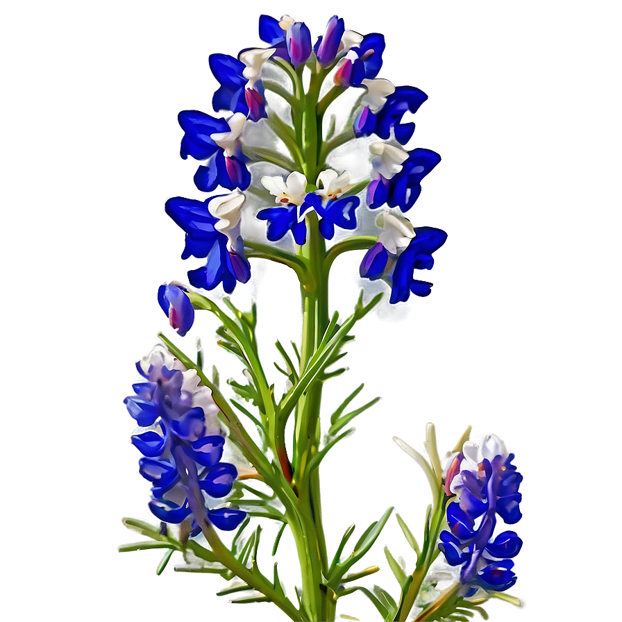 Bluebonnet Sunrise View Png Mbd23 PNG Image