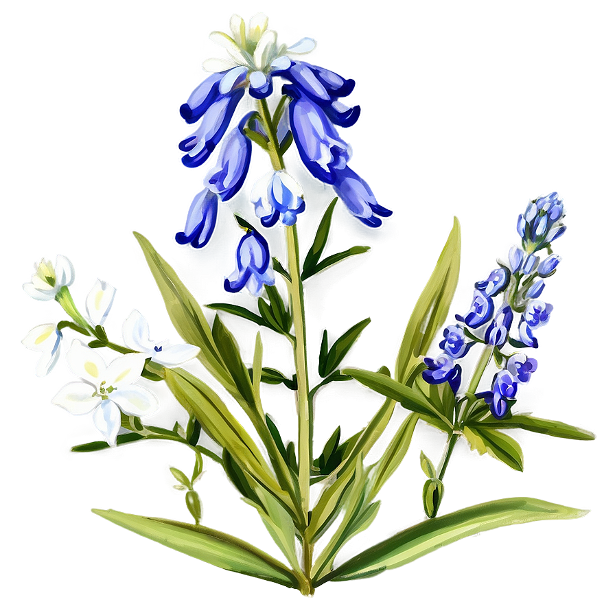 Bluebonnet Vintage Print Png 13 PNG Image