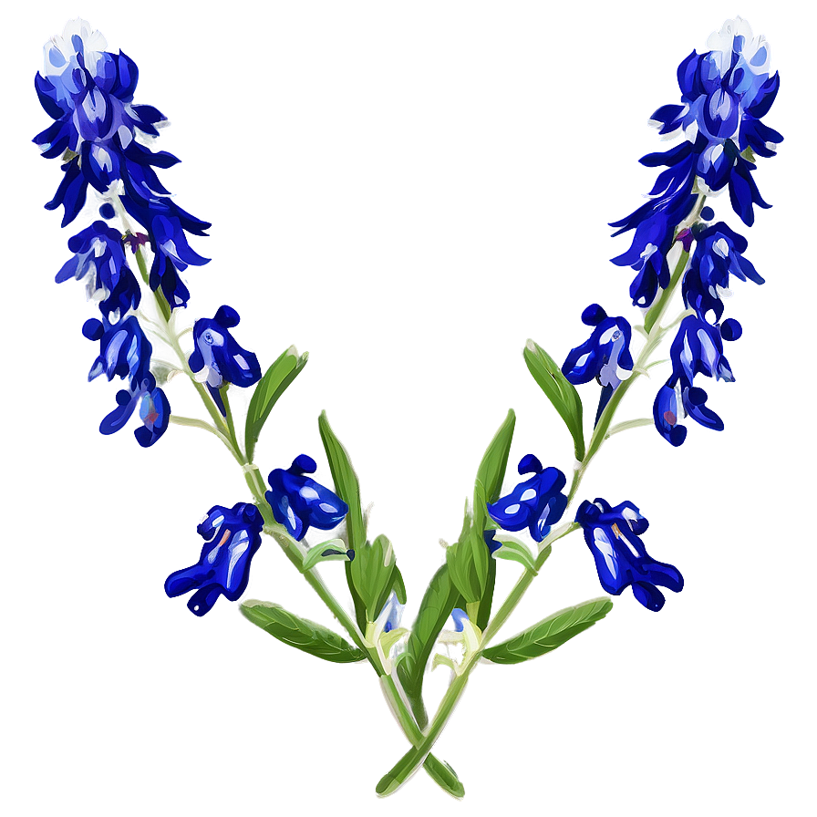 Bluebonnet Vintage Print Png Sge PNG Image