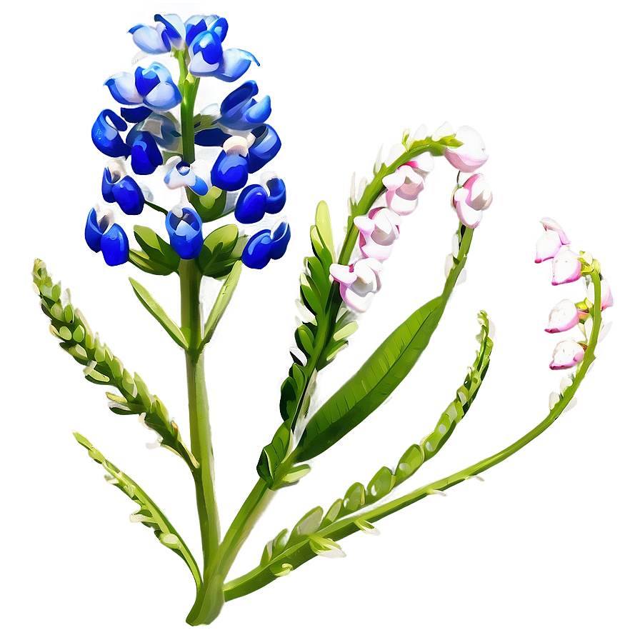 Bluebonnet With Blue Sky Png Uxu PNG Image