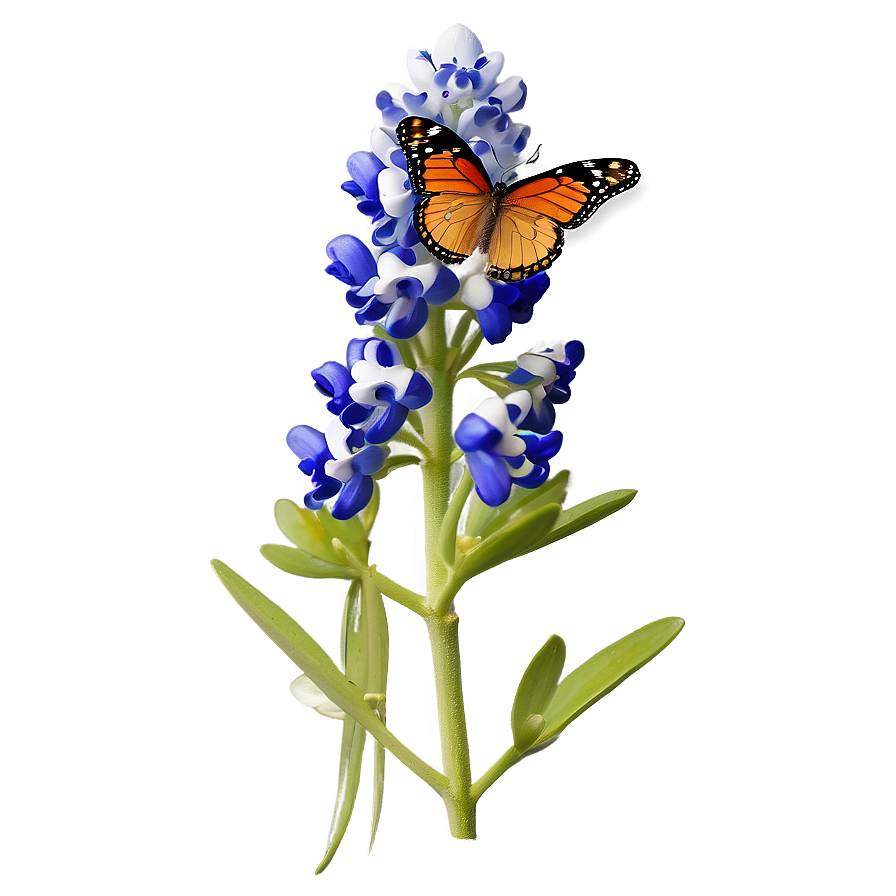 Bluebonnet With Butterfly Png Agx61 PNG Image