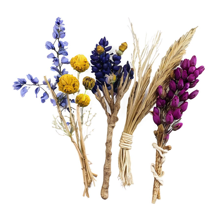 Boho Dried Flowers Png 06272024 PNG Image