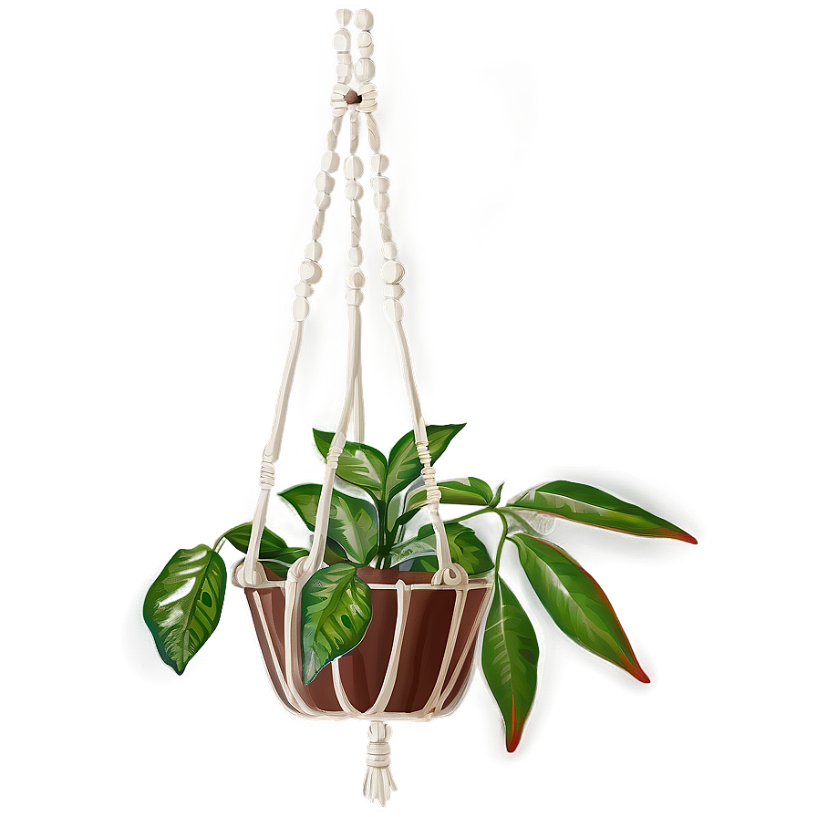 Boho Hanging Plant Png 6 PNG Image