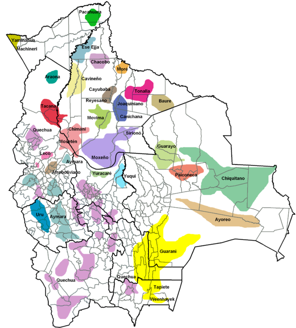 Bolivia Ethnolinguistic Map PNG Image