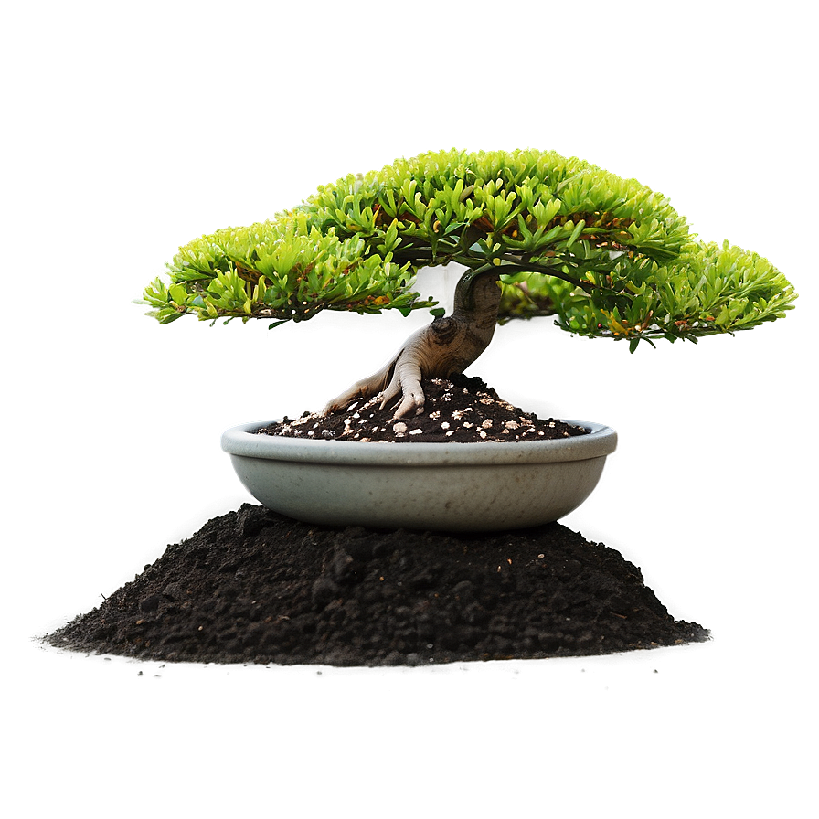 Bonsai Soil Types Png Vqn PNG Image