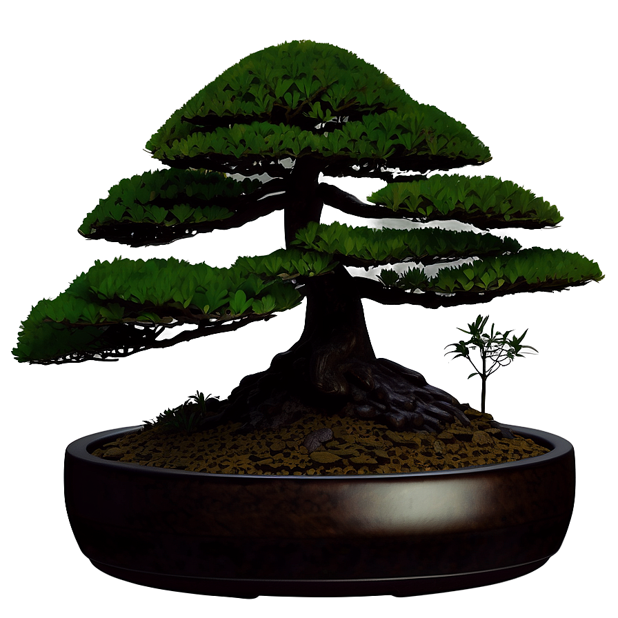 Bonsai Tree Silhouette Png Ecs PNG Image