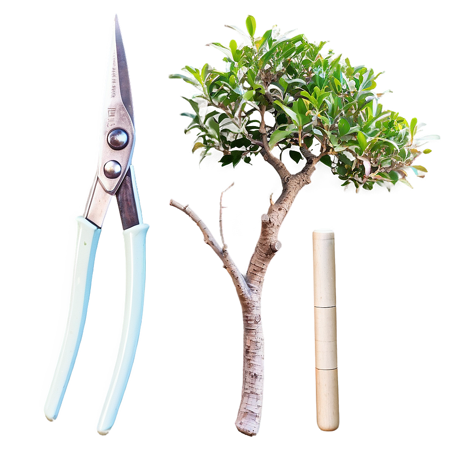 Bonsai Trimming Shears Png Tnc PNG Image