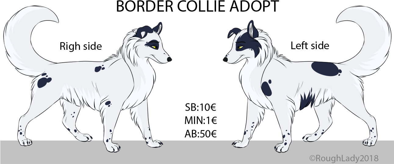 Border Collie Adoptable Artwork PNG Image