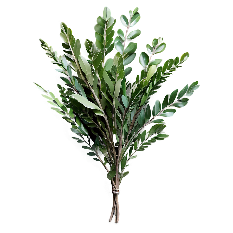 Botanical Laurel Arrangement Png Lrk77 PNG Image