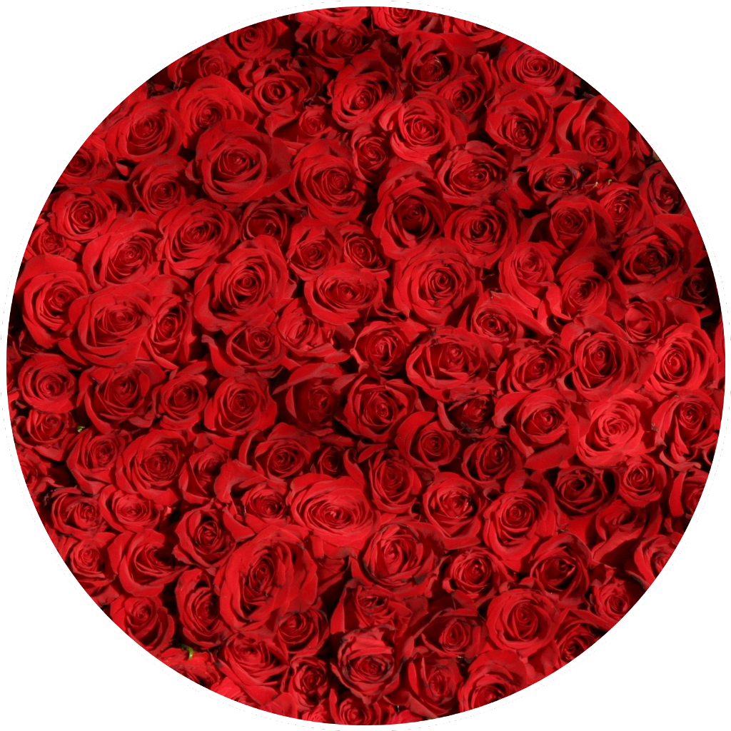 Bountiful Red Roses Circle PNG Image