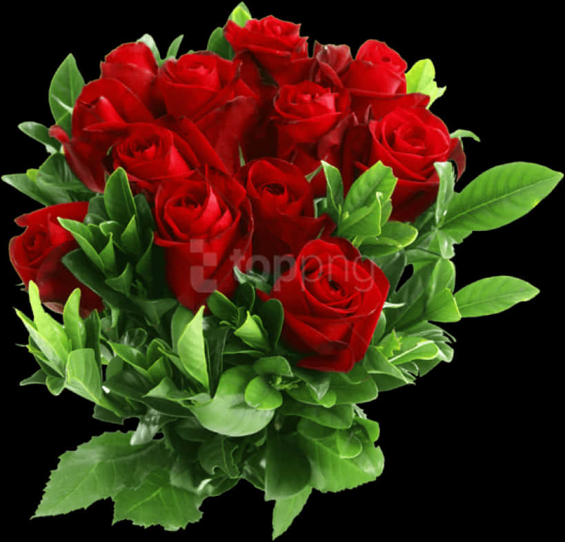 Bouquetof Red Roses Black Background PNG Image