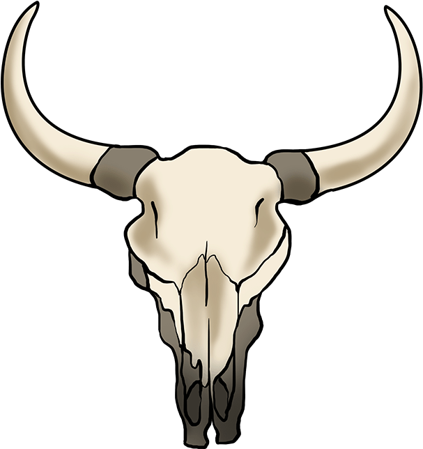 Bovine Skull Illustration PNG Image