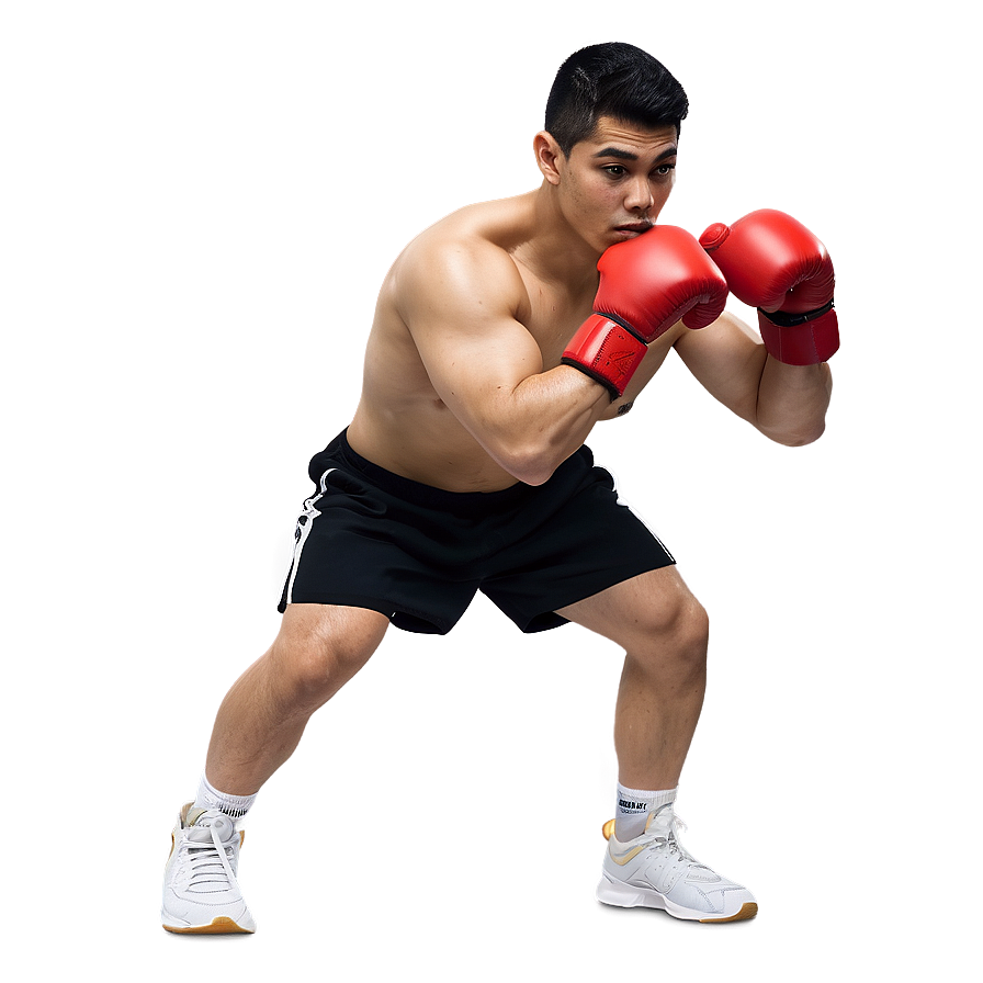 Boxer Exercise Routine Png Hwi80 PNG Image