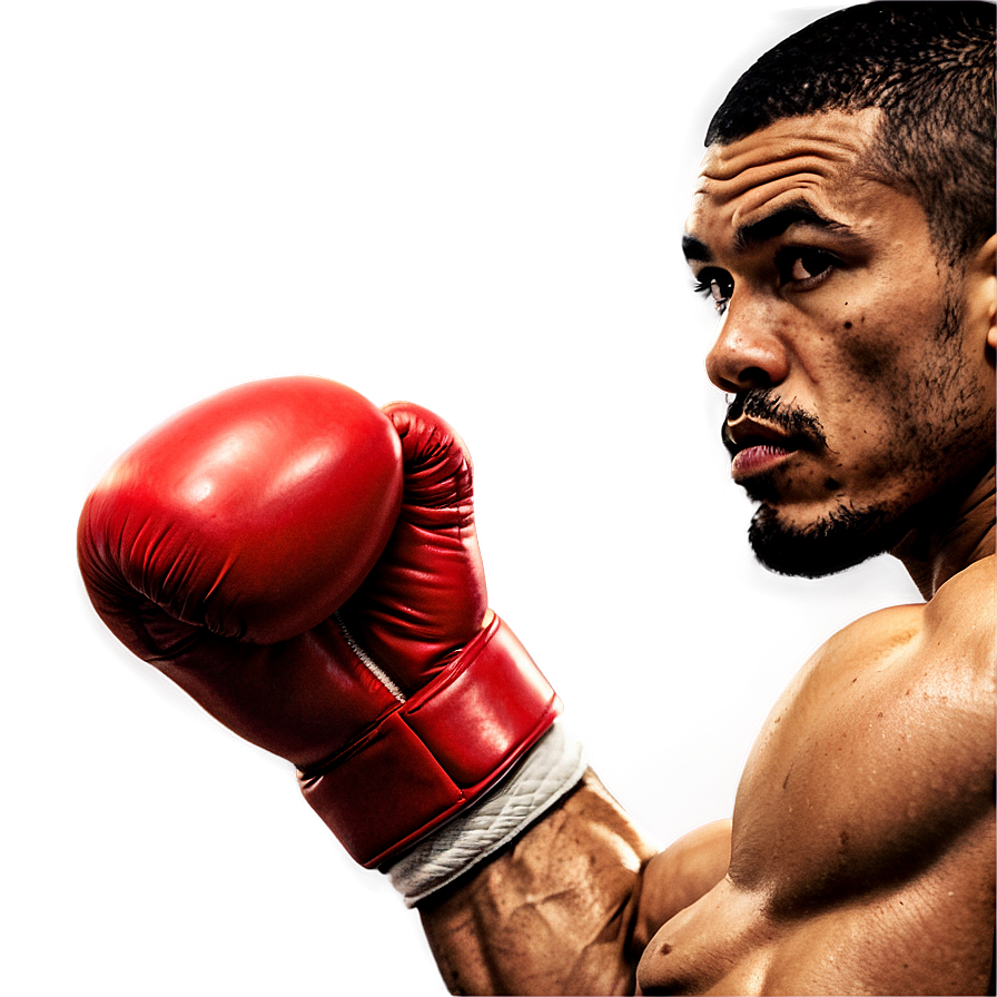 Boxer In Defensive Stance Png 34 PNG Image