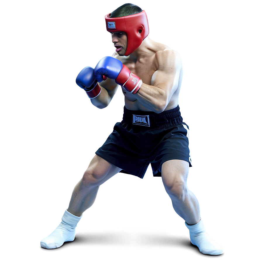 Boxer In Defensive Stance Png Fyg PNG Image