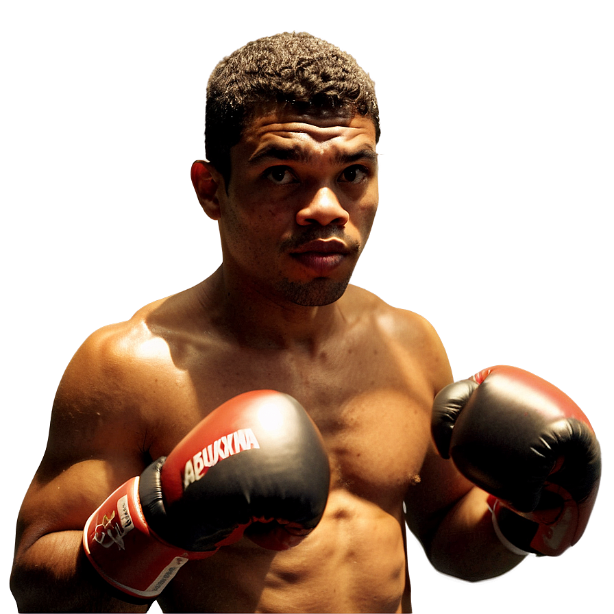 Boxer Preparing For Fight Png 06242024 PNG Image