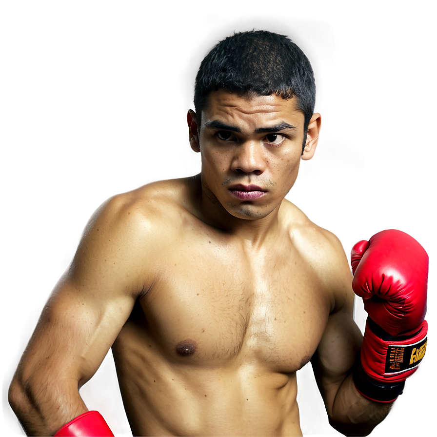 Boxer Ready To Fight Png 78 PNG Image