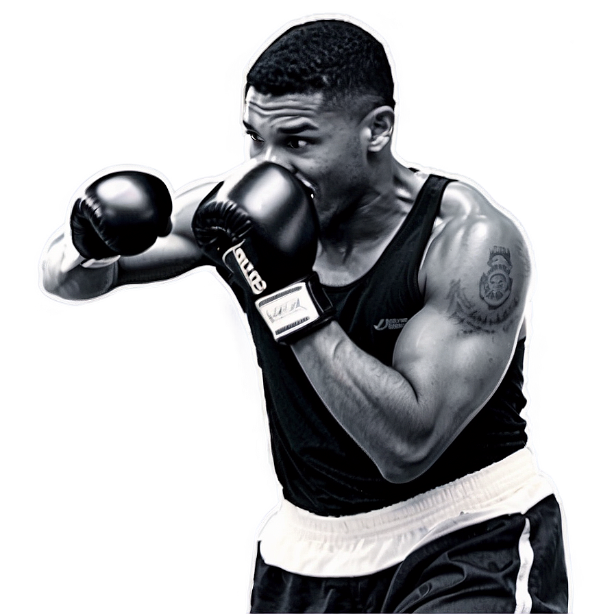 Boxer Training Session Png 60 PNG Image